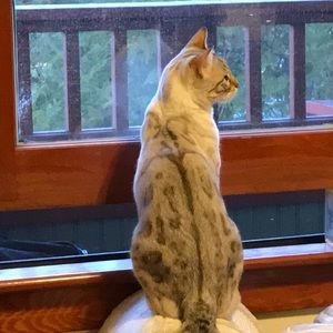 Meet your Posher, Kim